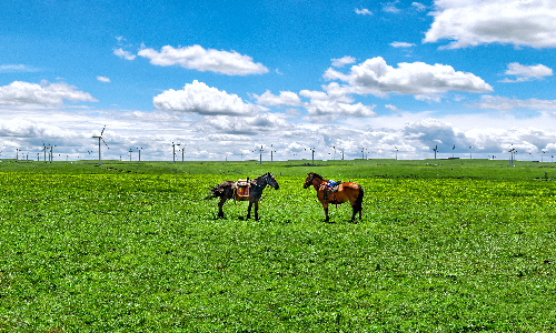 Huitengxile Grassland