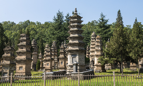 Pagoda Forest