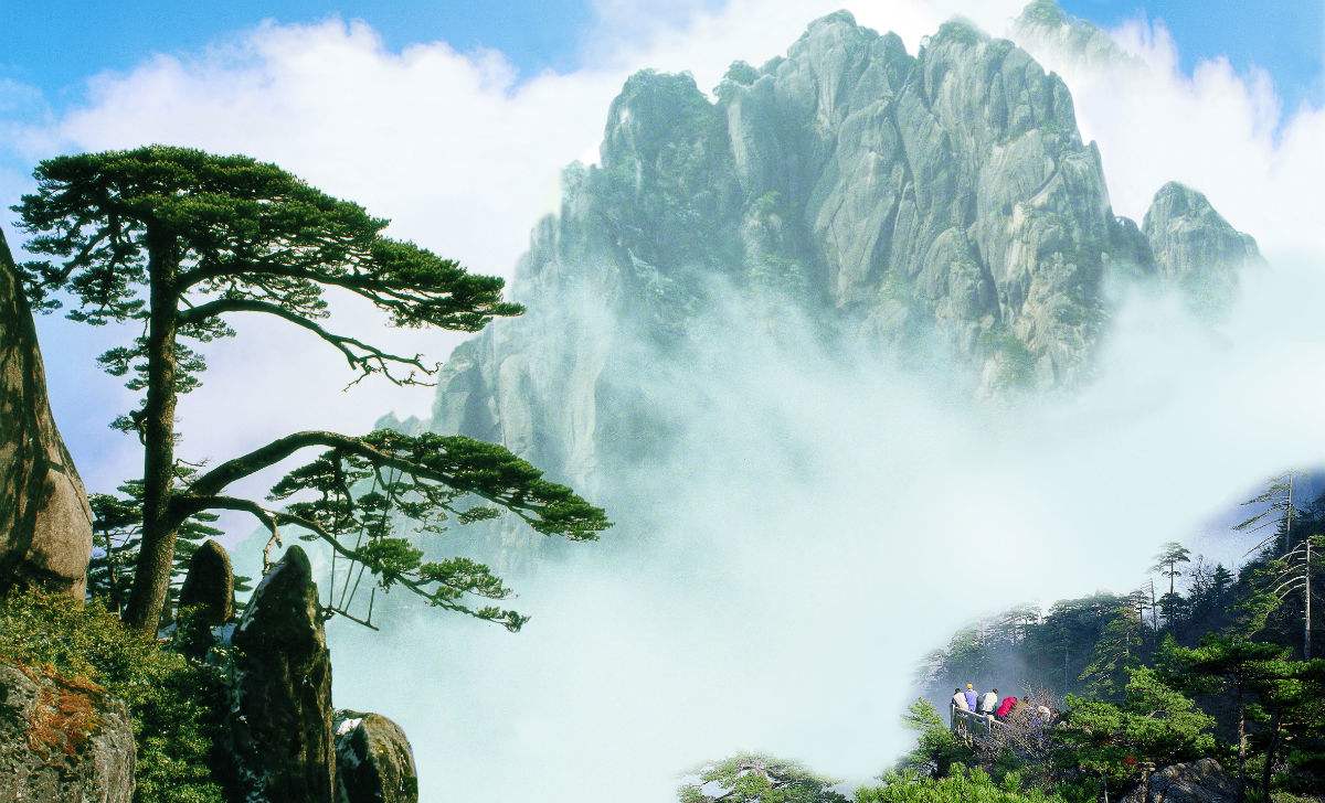 Peculiar Pines,Mount Huangshan