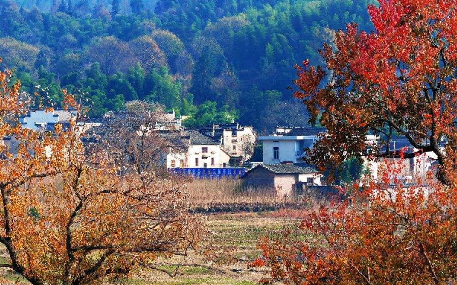 The Autumnal Scenery，Yi County