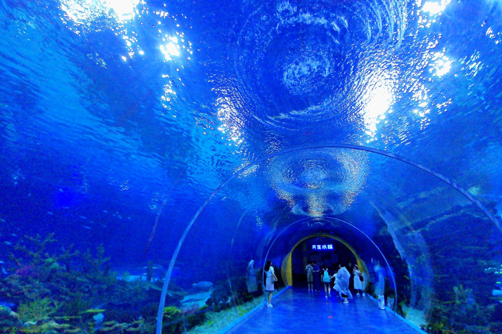 Beijing Blue Zoo,Beijing Blue Zoo