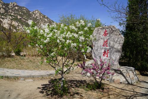 Xinghuacun Village，Beijing Fenghuangling Scenic Area