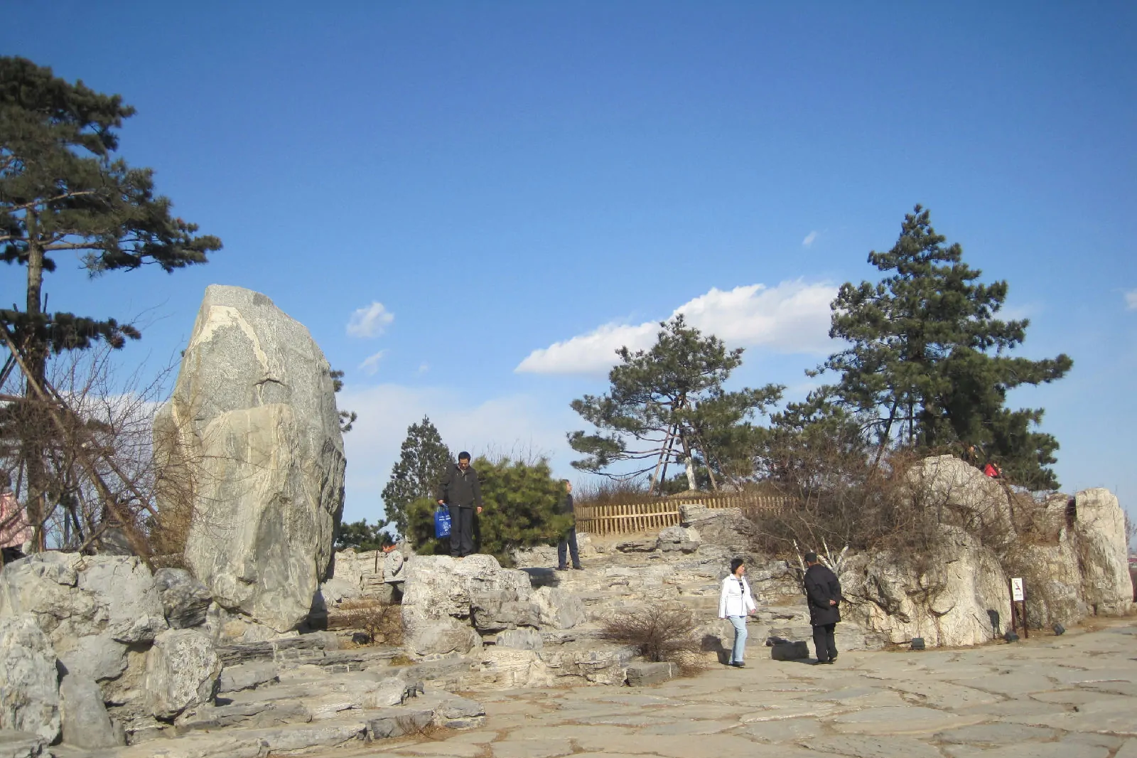 Tian Jing, Beijing Olympic Forest Park