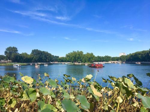 Houhai Park，Houhai