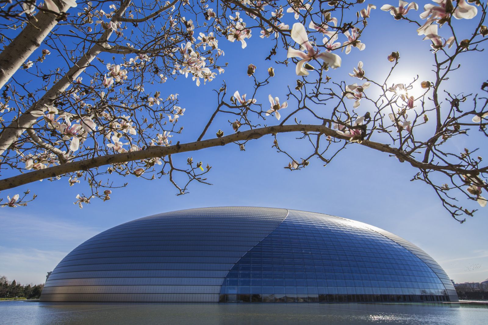 National Centre for the Performing Arts