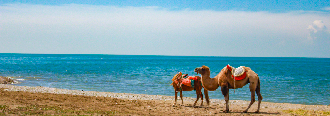 Qinghai Lake