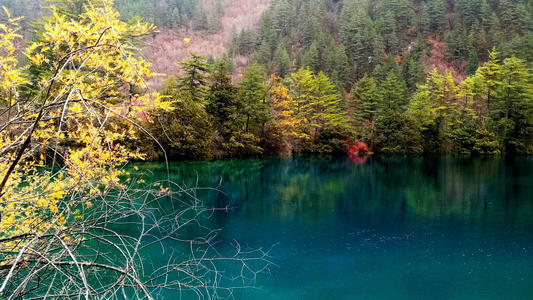 Rich Vegetation，Huanglong Scenic Area