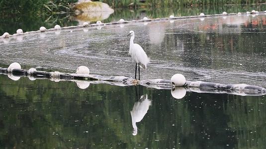 Bailu Island，Huanhuaxi Park