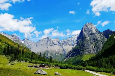 Lush Vegetation，Mount Siguniang