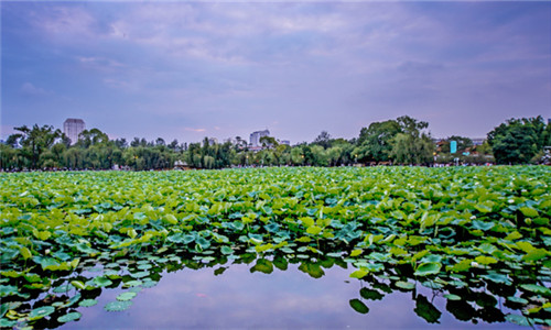 Green-Lake-Park