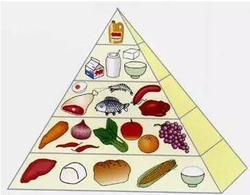 Chinese Dietary Structure，The Differences of Dietary Cultures between China and the West