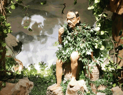 Shennong，The Classic of Tea