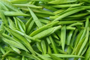 Junshan Silver Needle Tea,Yellow Tea