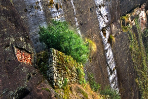 Da Hong Pao Scenic Spot, Wuyi Mountain Scenic Area