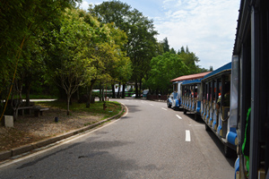 Scenic train,Wuyi Mountain Scenic Area