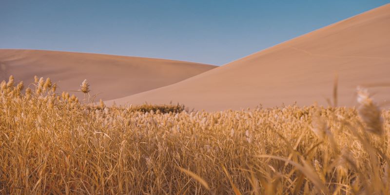 The Land Covered with Reeds，Crescent Spring and Echoing-Sand Mountain