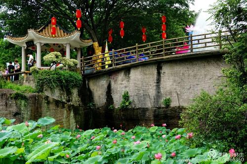 Lotus Flower Festival，Lotus Mountain