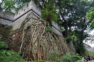 Ancient City Wall,Yuexiu Park