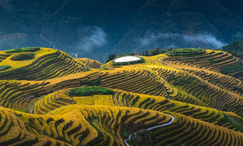 Longji Rice Terrace