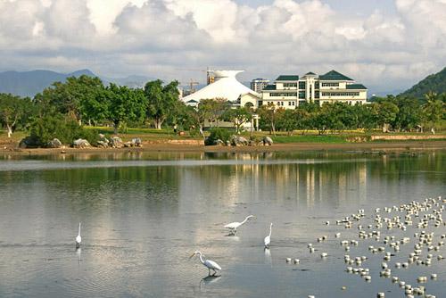 Egret Park，Dadonghai