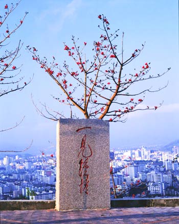 Love At First Sight Carved Stone，Luhuitou Park