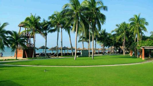 Coconut Dream Corridor, Sanya Bay