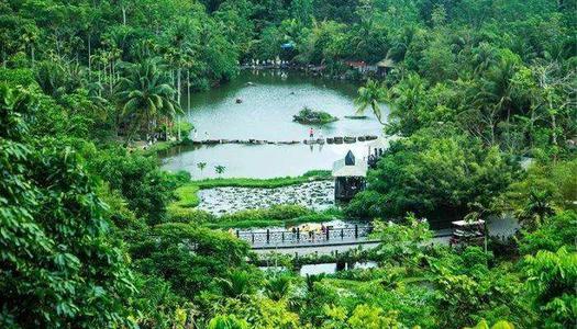 Rainforest Valley，Yanoda Rainforest