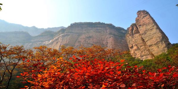 Maple Leaves Scenery，Zhangshiyan Scenic Area