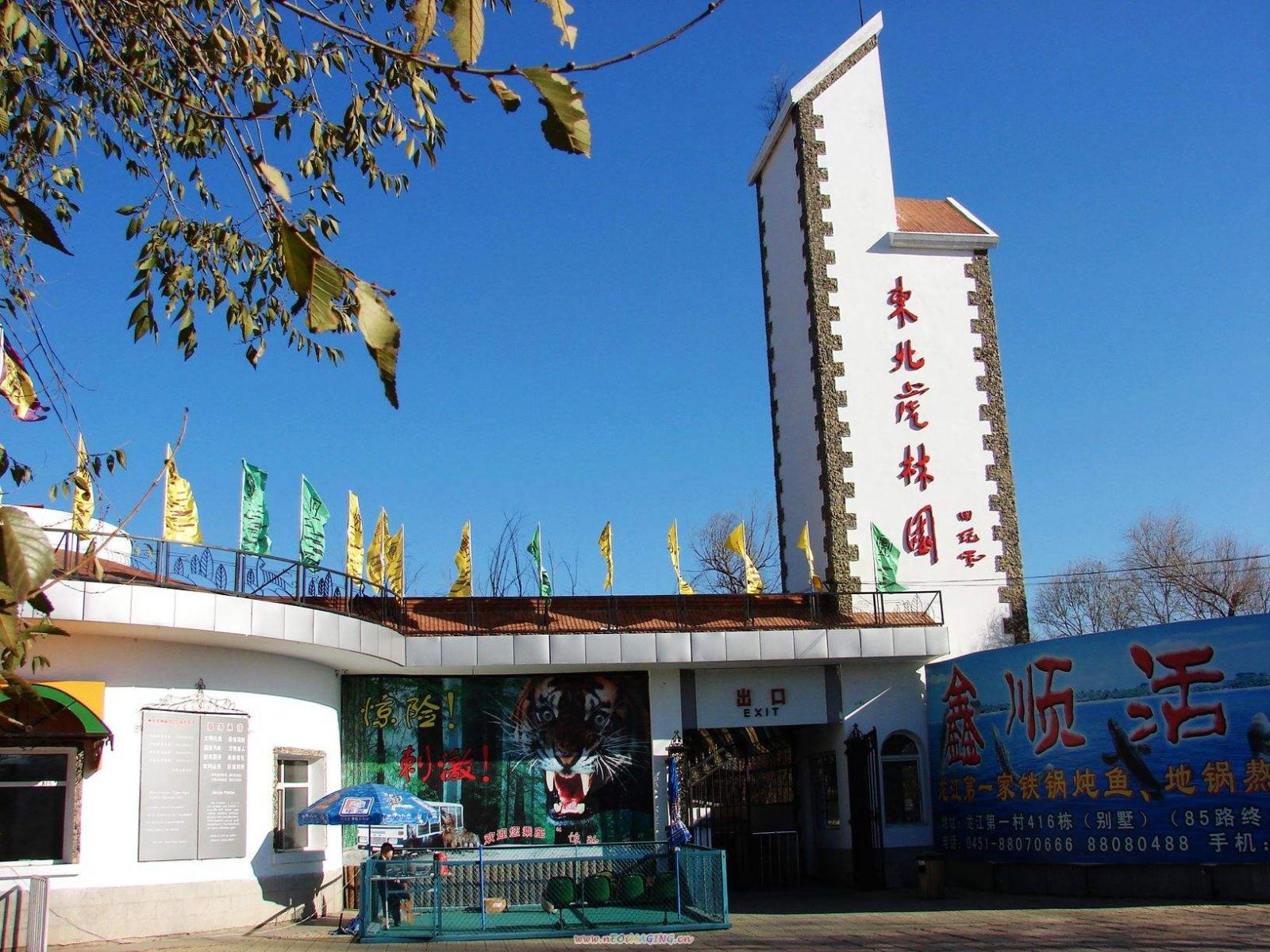 The Main Entrance,The Siberian Tiger Park