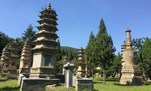 Pagoda Forest