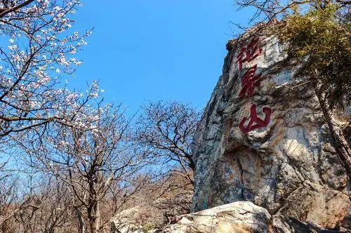 Mountain of Flowers and Fruits, Mountain of Flowers and Fruits