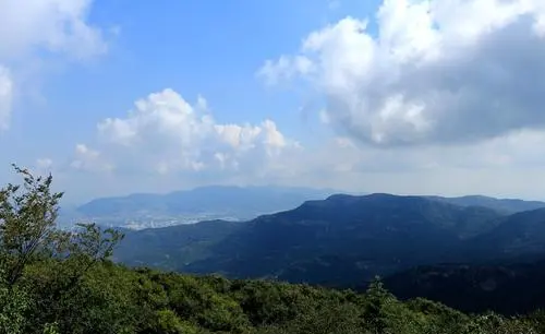 The Top of the Mountain Scenery, Mountain of Flowers and Fruits