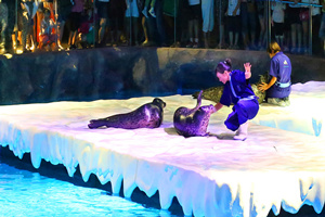 North Pole Encounter,Hong Kong Ocean Park