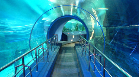 Subsea Tunnel，Hong Kong Ocean Park