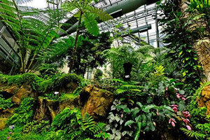 Forsgate Conservatory，Hong Kong Park