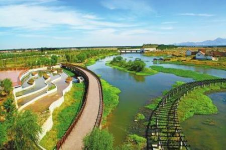 The Wetland，Hong Kong Wetland Park