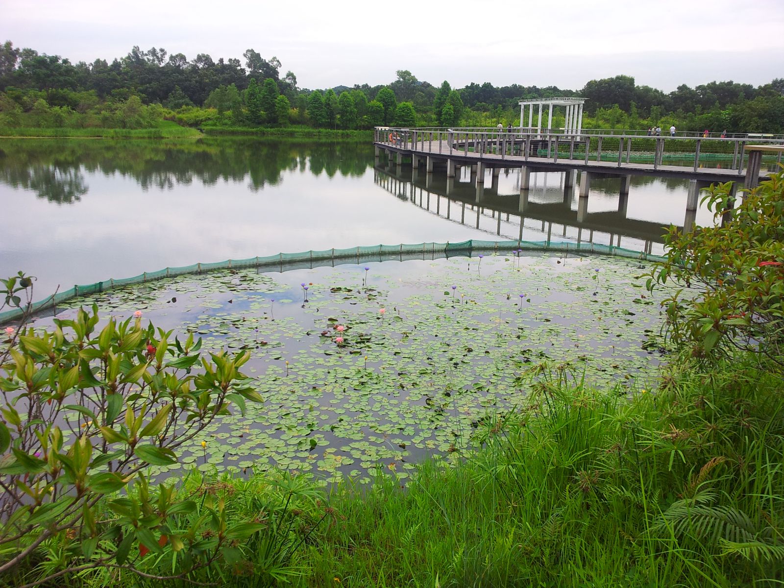 Hong Kong Wetland Park，Hong Kong Wetland Park.