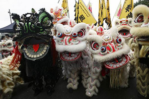 Lion Dance，Kowloon Park