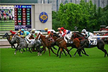 Horse Race，Sha Tin Racecourse