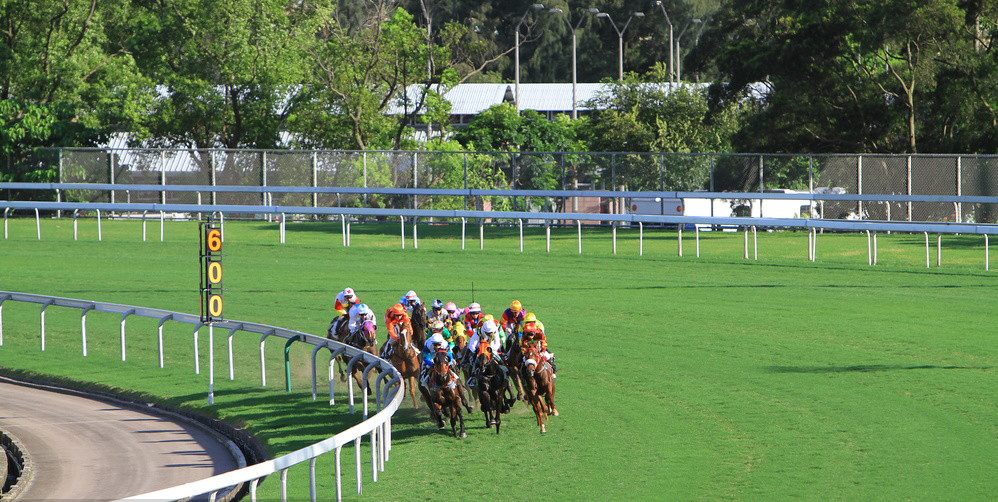 Sha Tin Racecourse，Sha Tin Racecourse