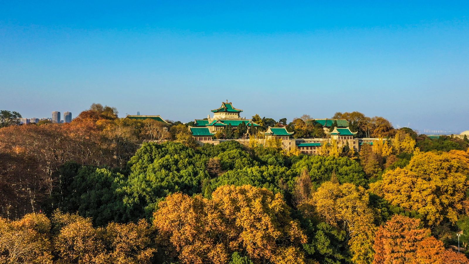 Autumn Scenery，Wuhan University