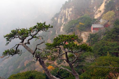 Hou Shi Wu,Mount Taishan