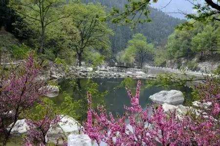  Peach Blossom Ravine,Mount Taishan