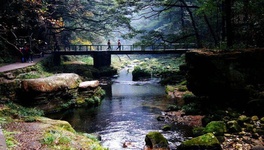 Golden Whip Stream，Wulingyuan Scenic Spot