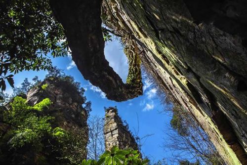 Yangjiajie Scenic Area，Wulingyuan Scenic Spot