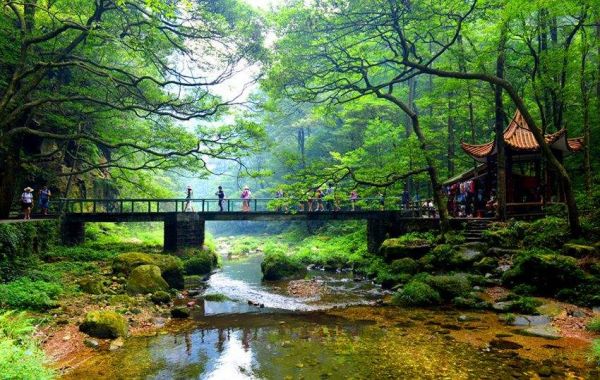 Zhangjiajie National Forest Park,Wulingyuan Scenic Spot