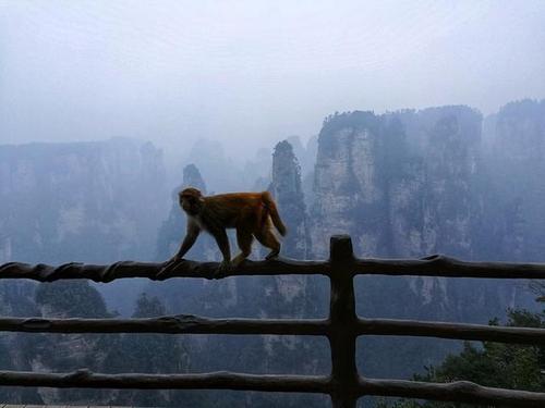 Mihun Stage，Yuanjiajie