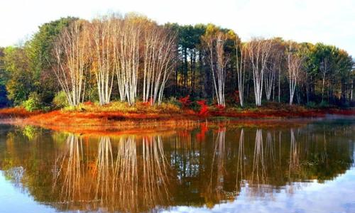 Birch Forest Bay Sub-scenic Area, Taiping National Forest Park