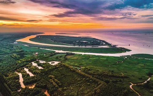 Coastal Wetlands，Chongming Island