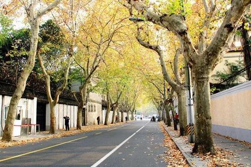 Wukang Road, Former French Concession